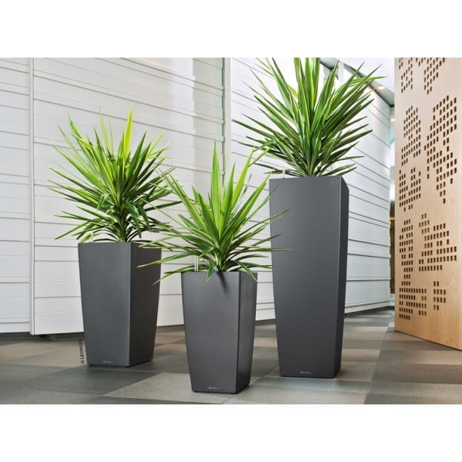 self watering planters